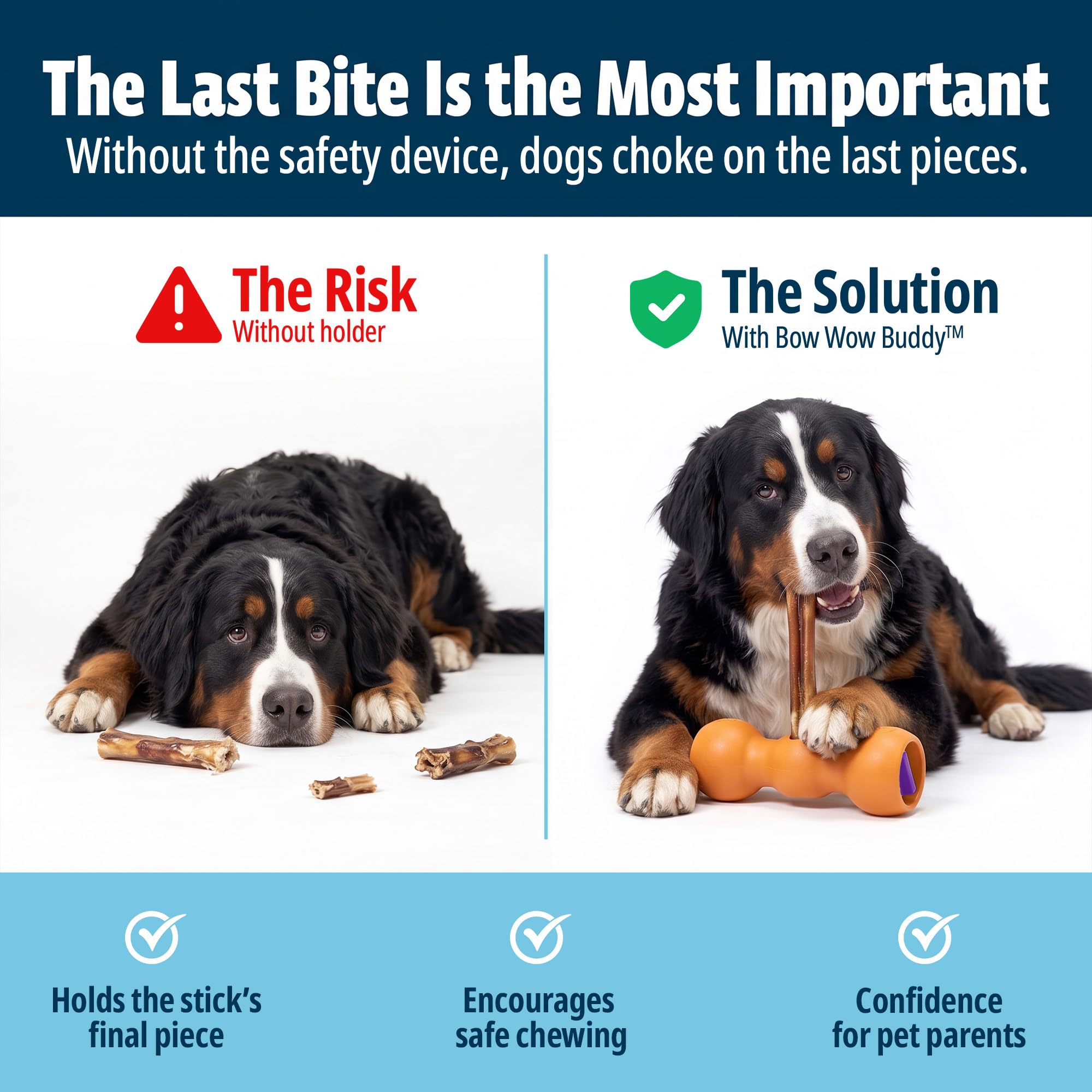 Bow Wow Labs Buddy SafeFit en usage avec chien tenant confort et sécurité