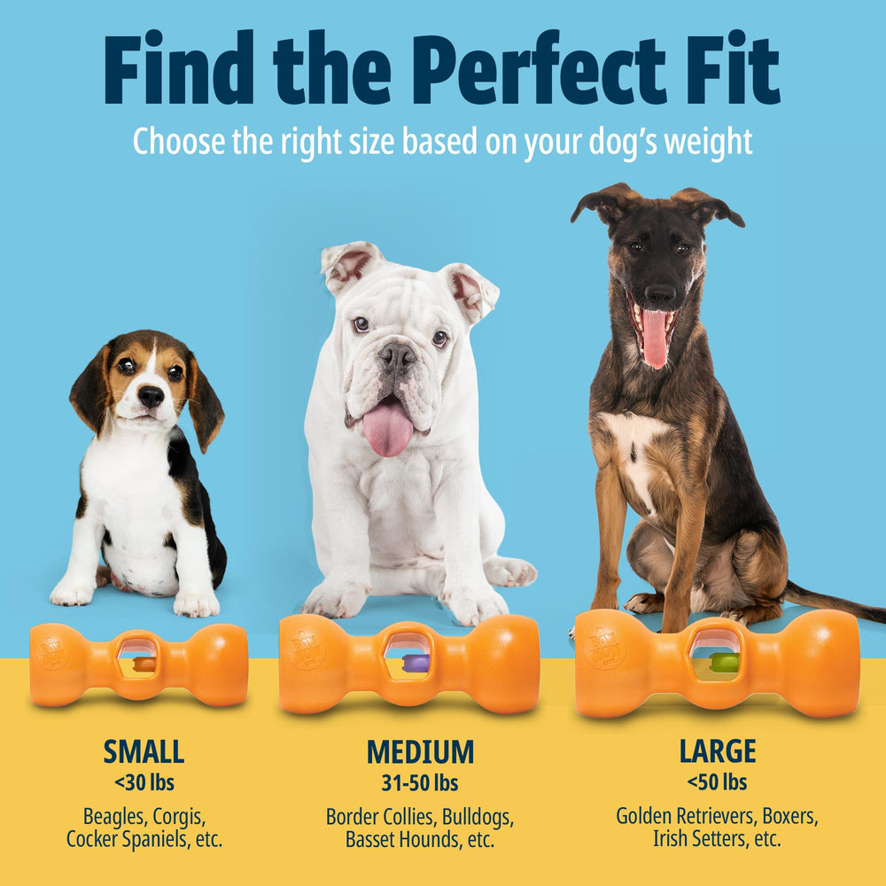 Bow Wow Labs Buddy SafeFit texture nylon robuste pour durabilité prolongée
