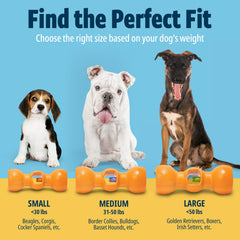 Bow Wow Labs Buddy SafeFit texture nylon robuste pour durabilité prolongée