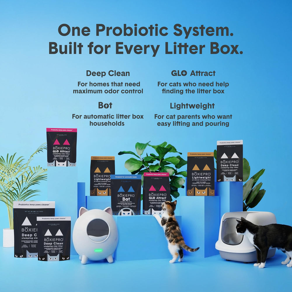 Boxie avec pelle et tamis illustrant compatibilité et nettoyage facile