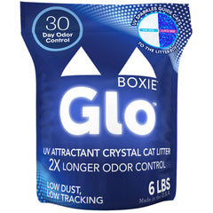 Boxie Glo emballage avant montrant informations produit et bénéfice longévité