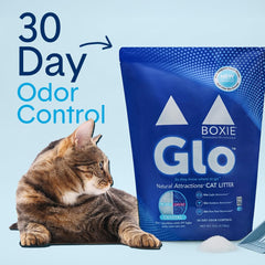 Boxie Glo gros plan sur granulés doux offrant confort et acceptation