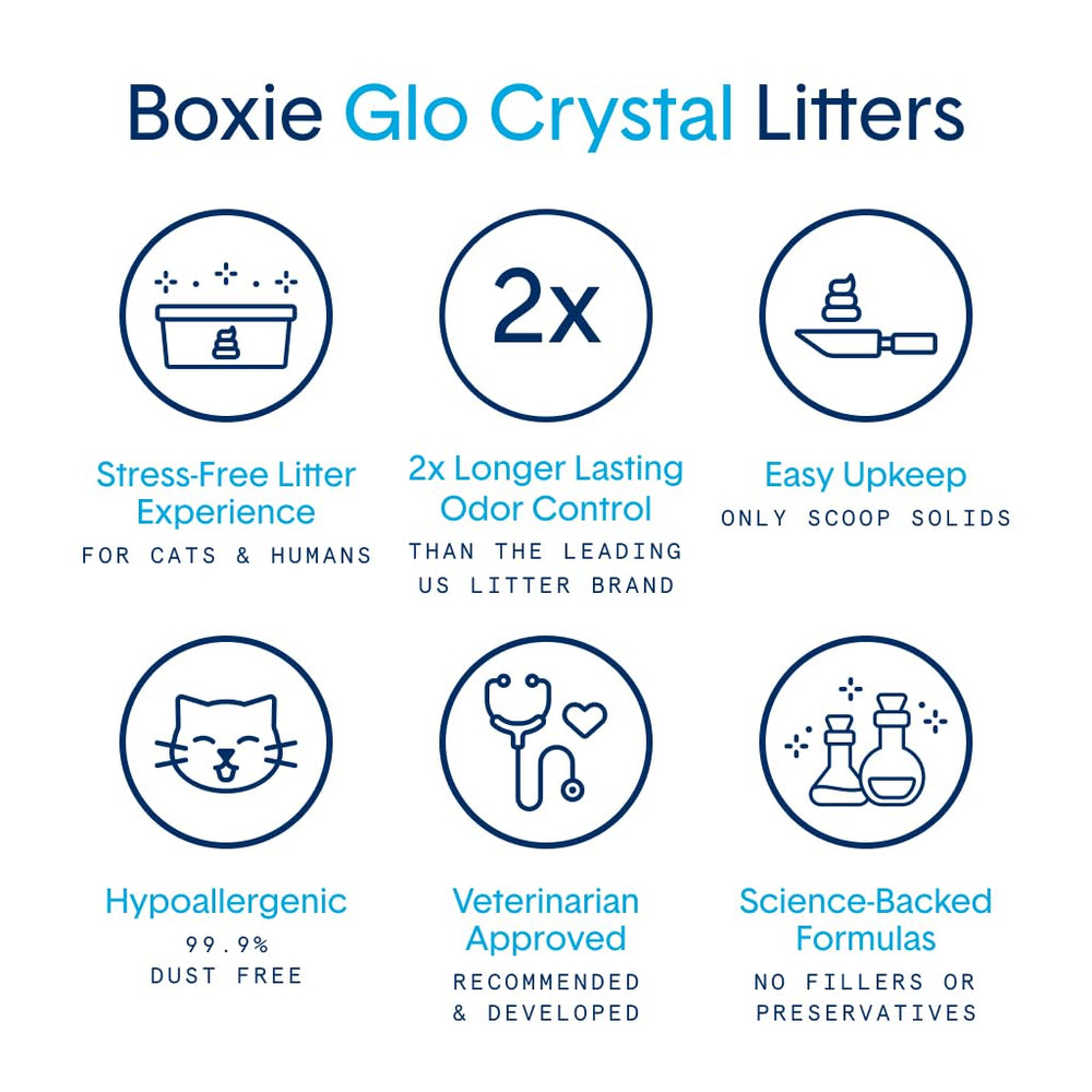 Boxie Glo paillettes UV visibles sur cristaux attirant le chat vers bac