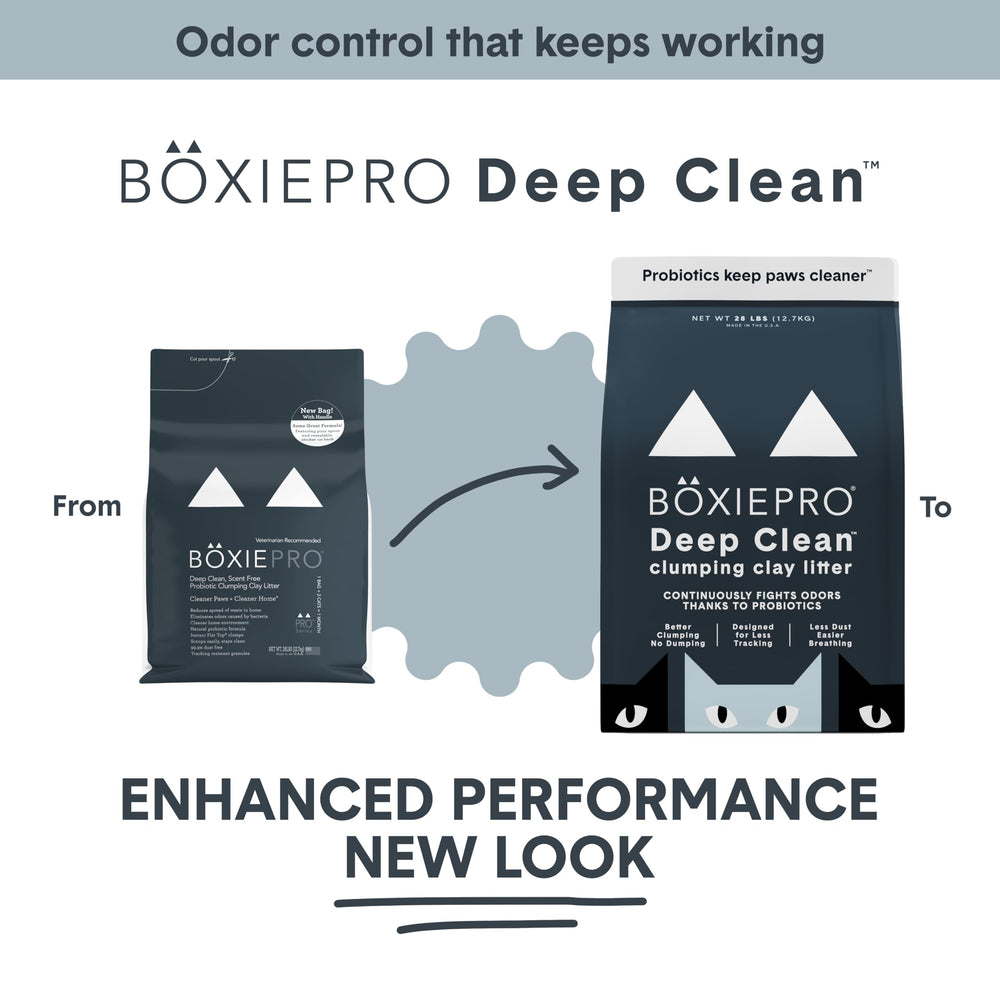 Boxie gros plan sur granules de bentonite illustrant texture agglomérante