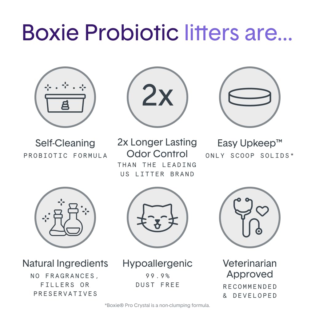 Boxie bac en usage avec chat, maintien de fraîcheur et propreté