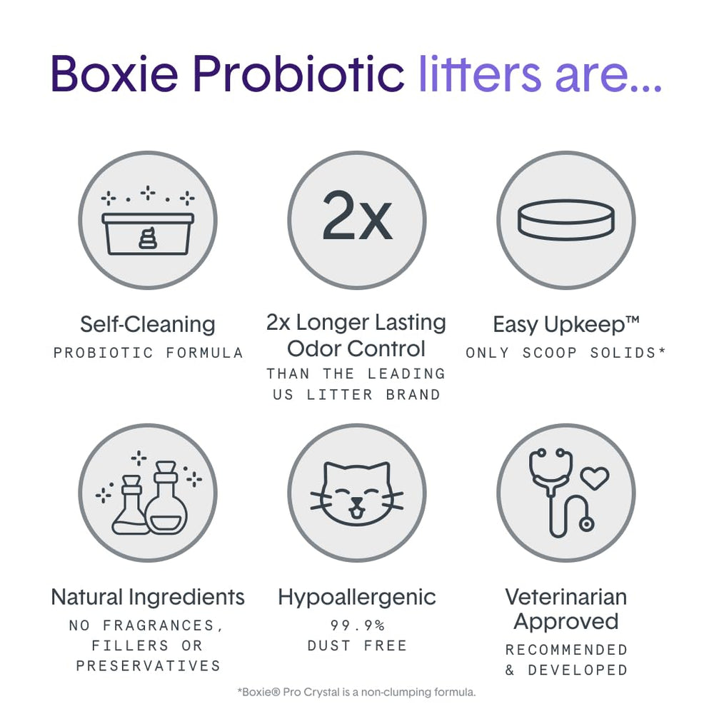 Boxie bac en usage avec chat, maintien de fraîcheur et propreté