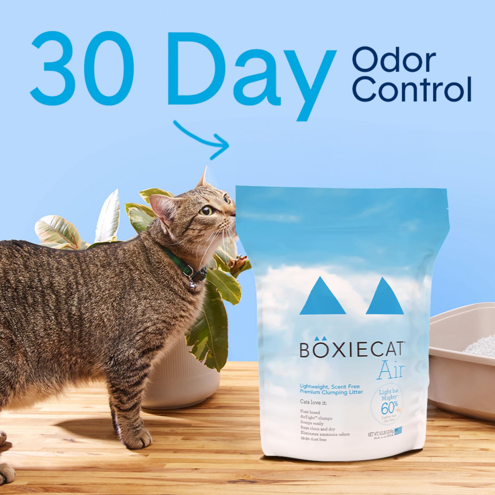 Boxiecat gros plan sur granules illustrant texture légère et agglomération