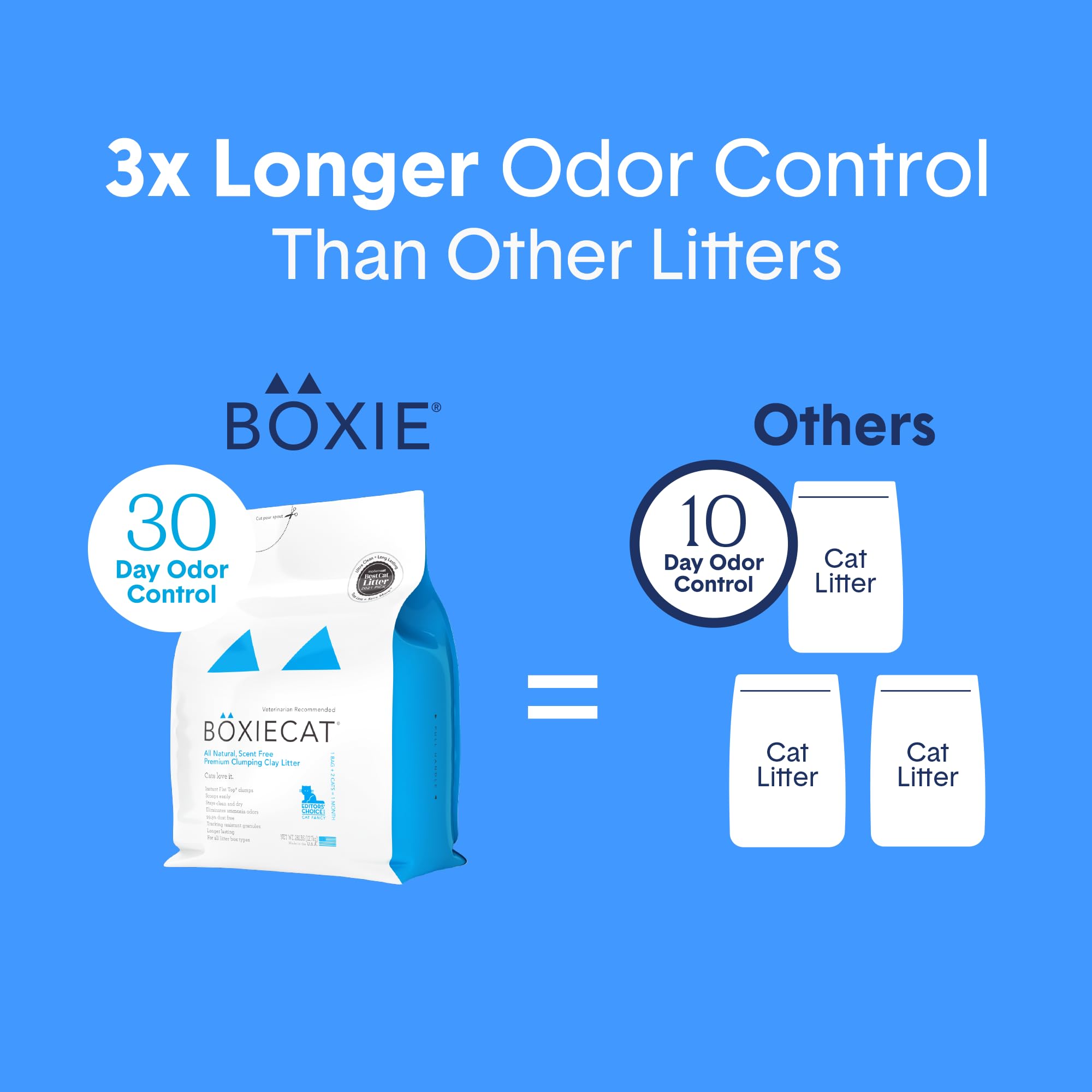 Boxiecat scène de vie salon avec chat montrant environnement propre