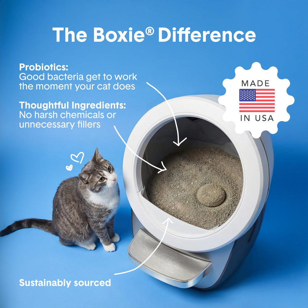 BoxiePro Bot dans bac automatique démontrant compatibilité et fonctionnement fluide