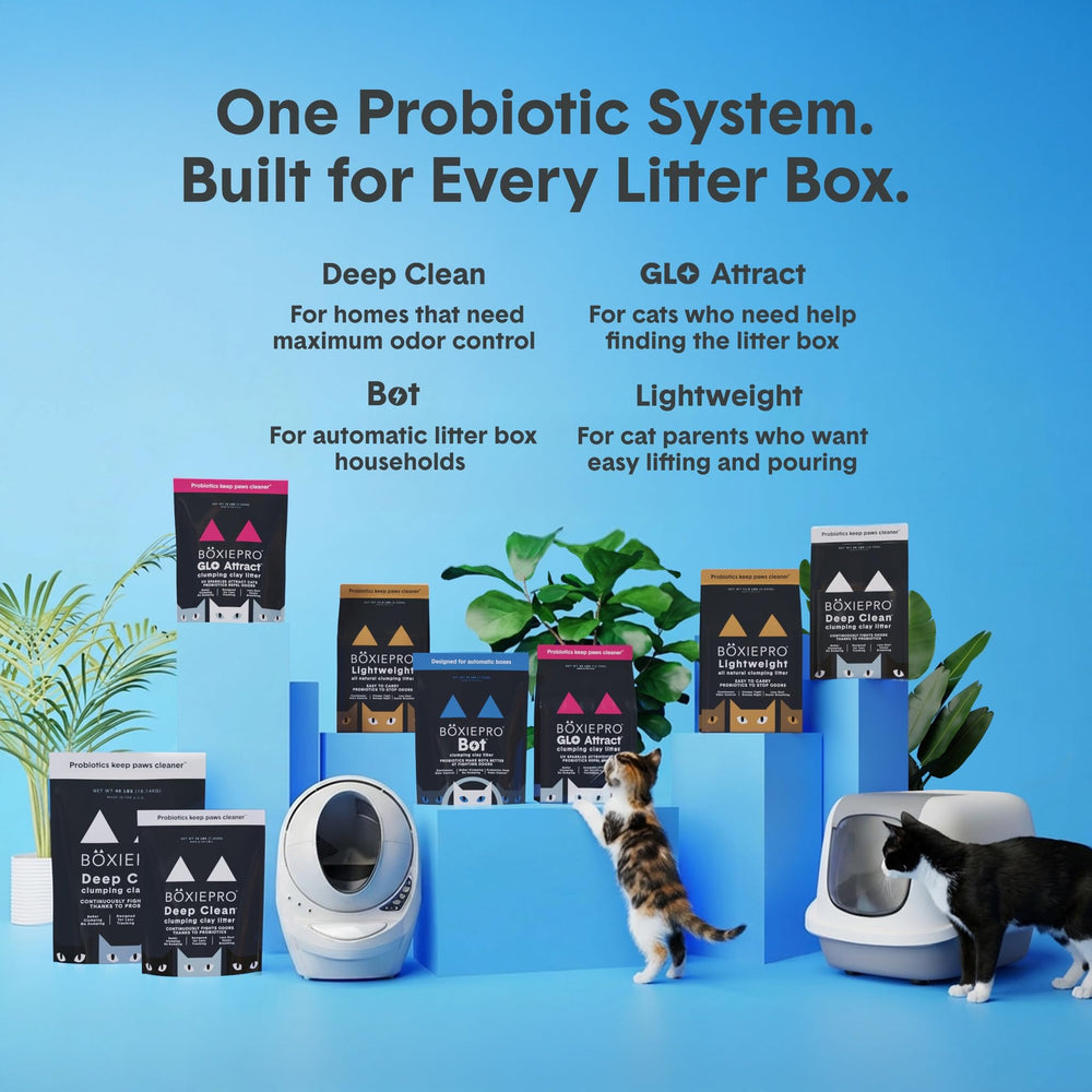 BoxiePro Bot scène de vie avec chat près du bac montrant confort et atmosphère fraîche