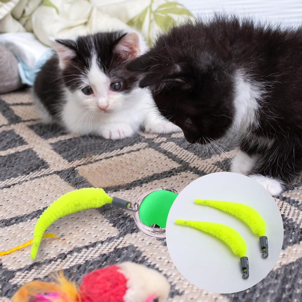 BOXOB mise en scène chat jouant, stimule chasse et exercice