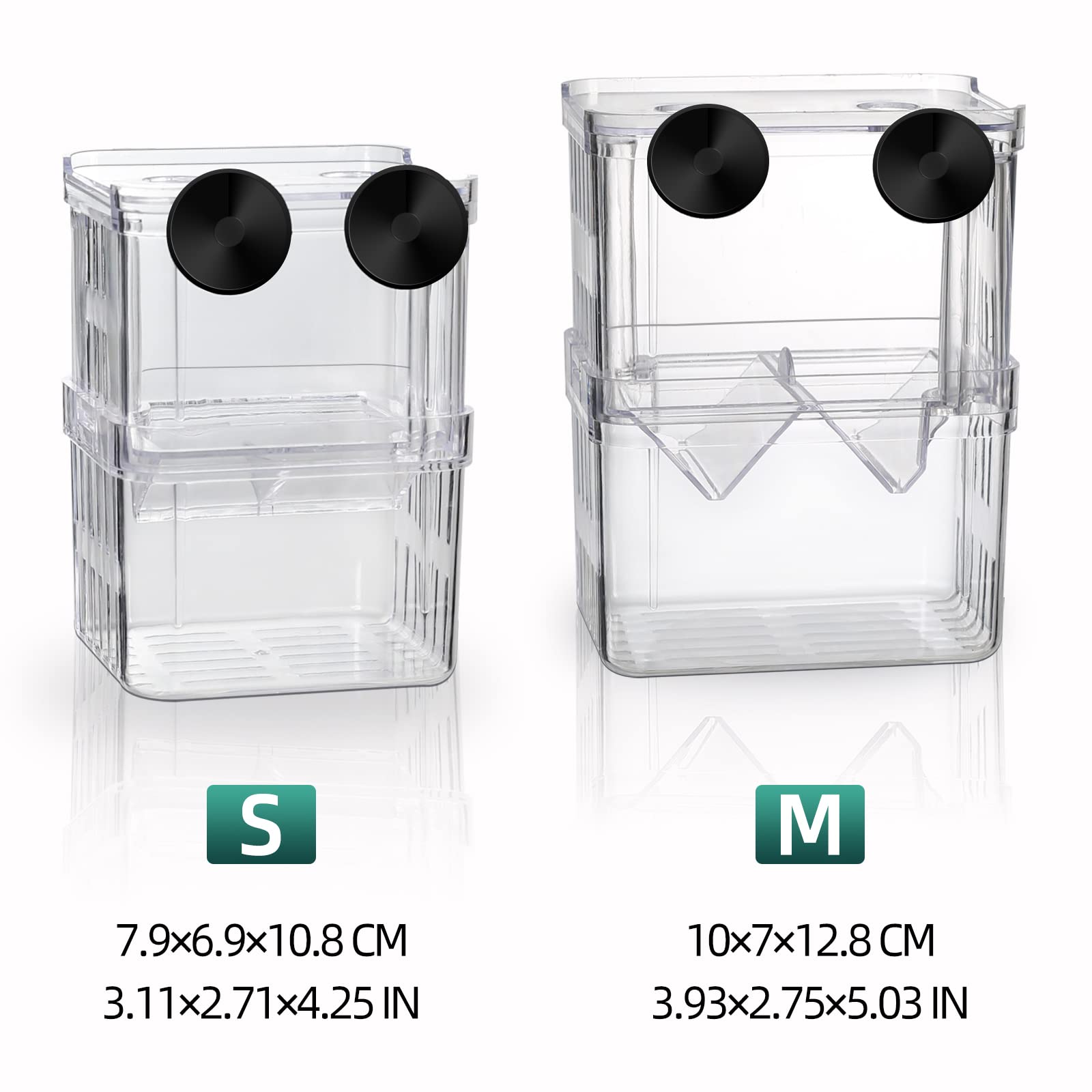 boxtech comparaison de taille à côté d'un aquarium pour évaluer l'échelle