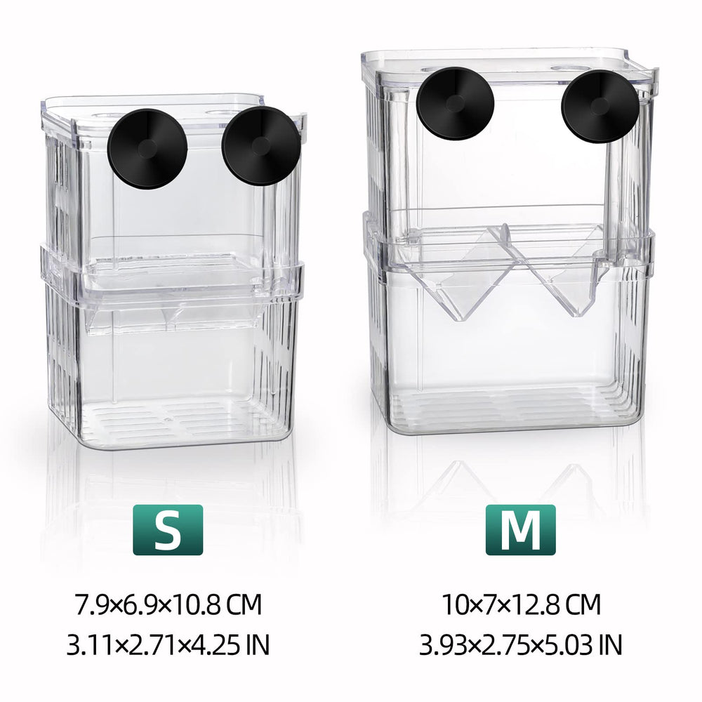 boxtech comparaison de taille à côté d'un aquarium pour évaluer l'échelle