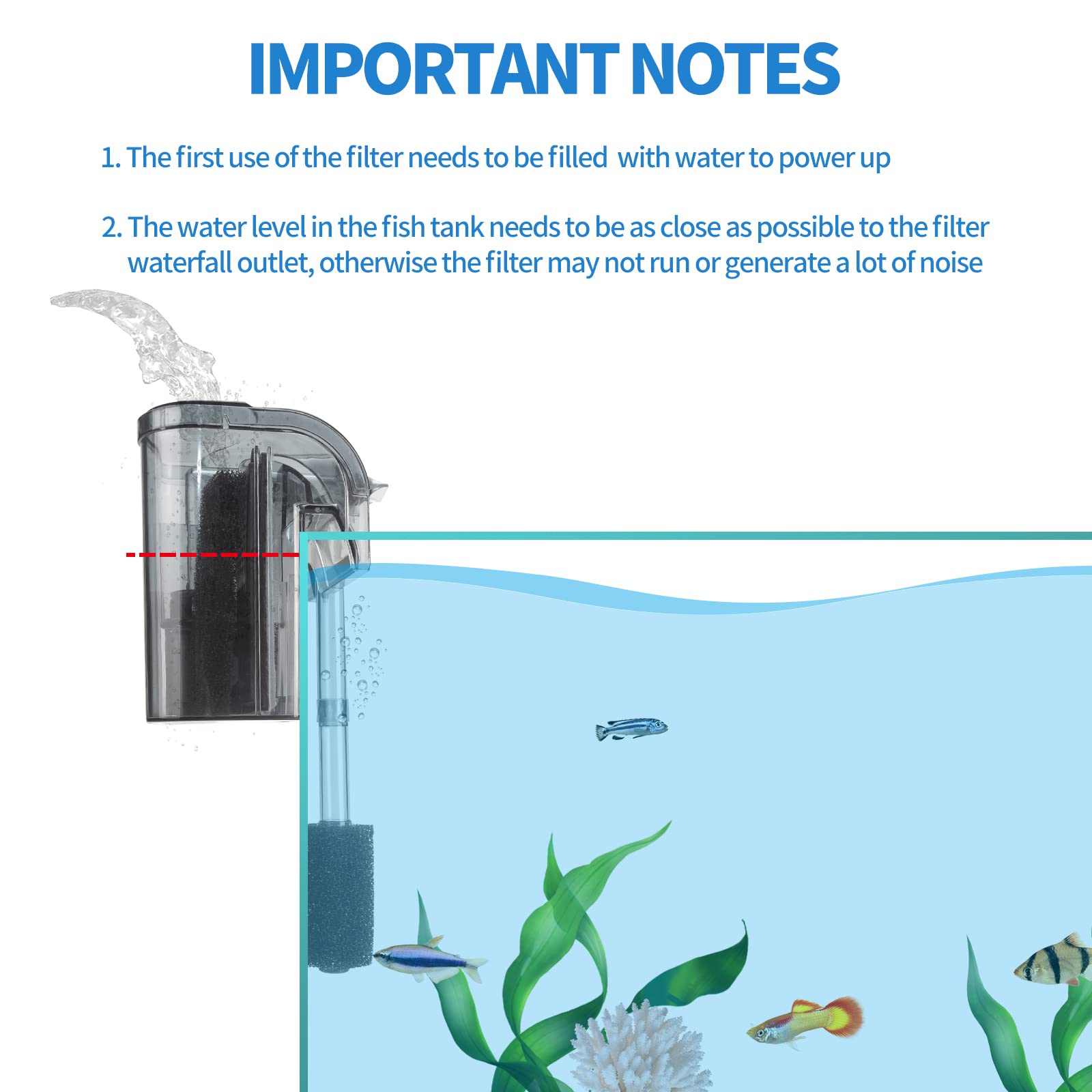 boxtech filtre installé dans aquarium montrant eau plus claire et circulation