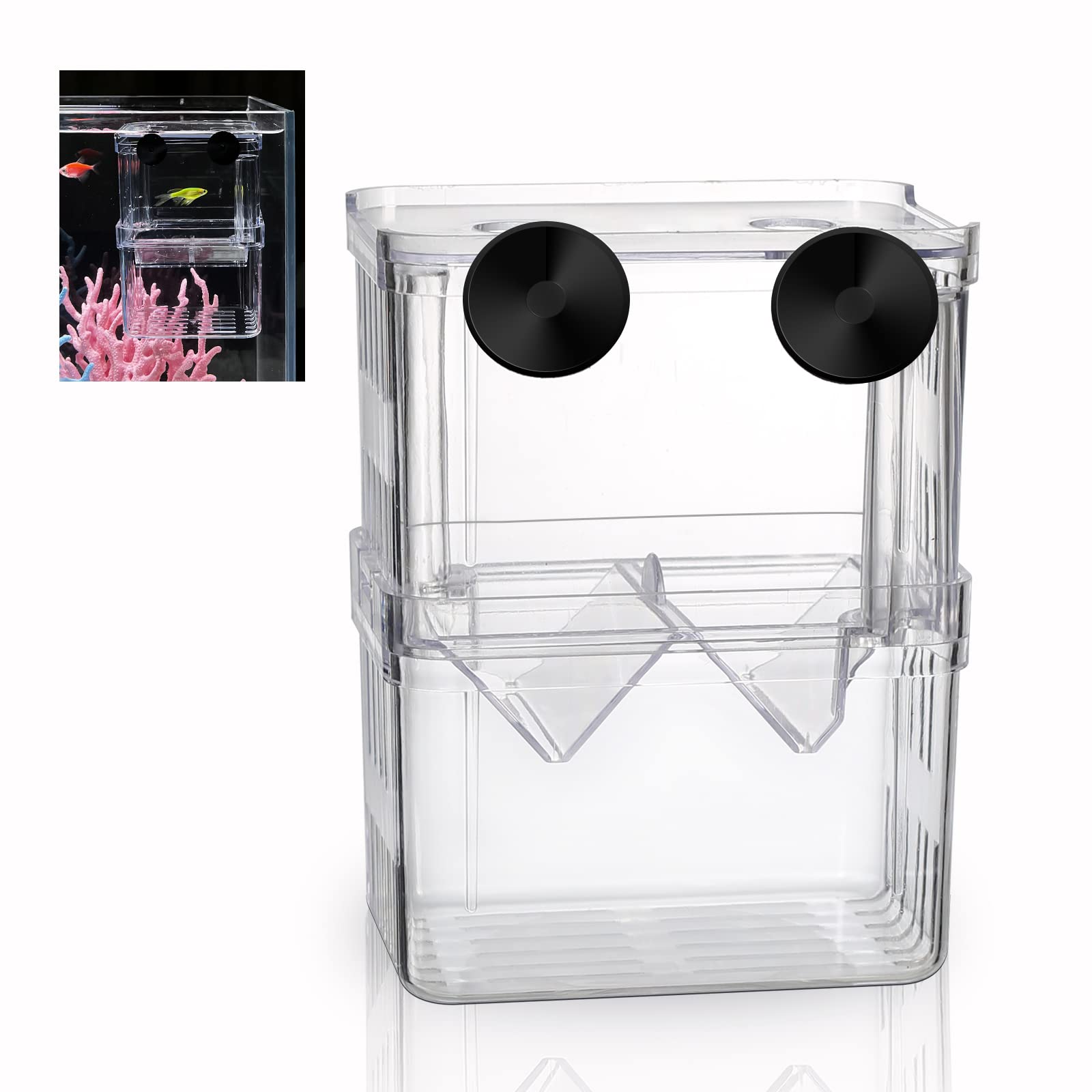 boxtech vue de face de la boîte d'élevage montrant la transparence et la sécurité