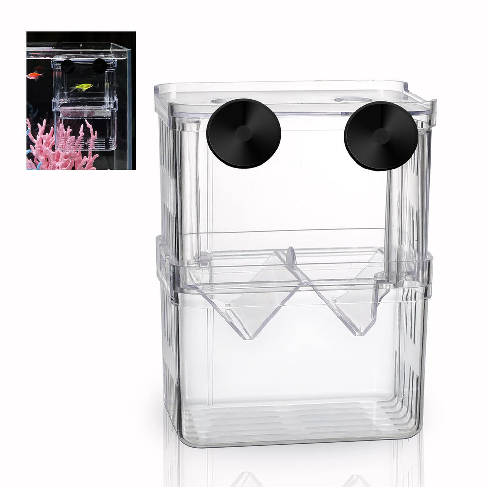 boxtech vue de face de la boîte d'élevage montrant la transparence et la sécurité