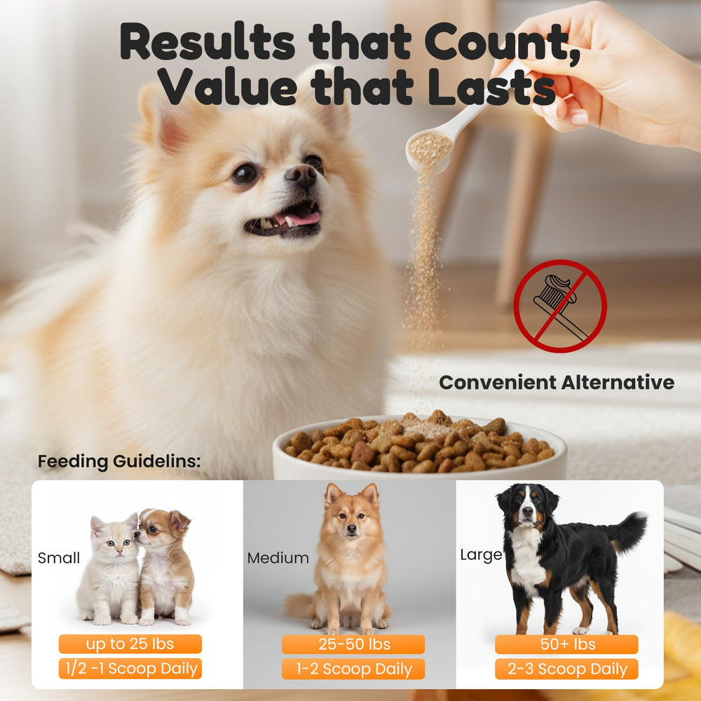 BoxZone chien mange salon mettant en avant acceptation et confort