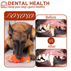 BoYoYo jouet en usage chien mâcheur actif pour stimulation et occupation