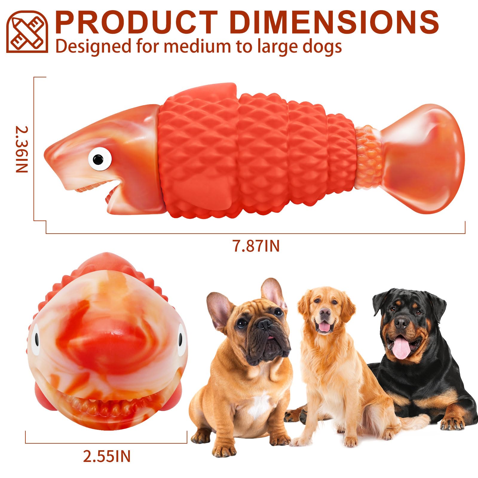 BoYoYo comparaison taille montrant proportion pour chiens de grande race