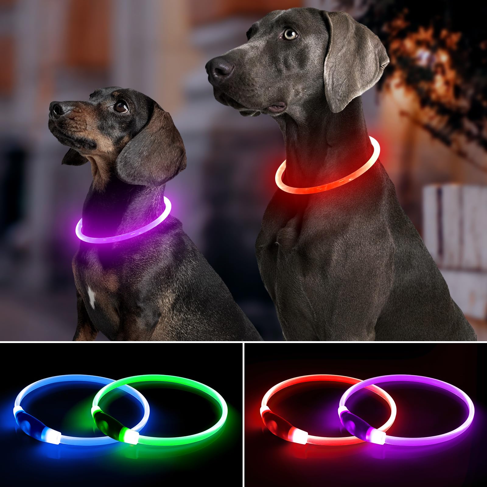 Bpawser collier en usage lors d'une promenade nocturne pour mieux voir
