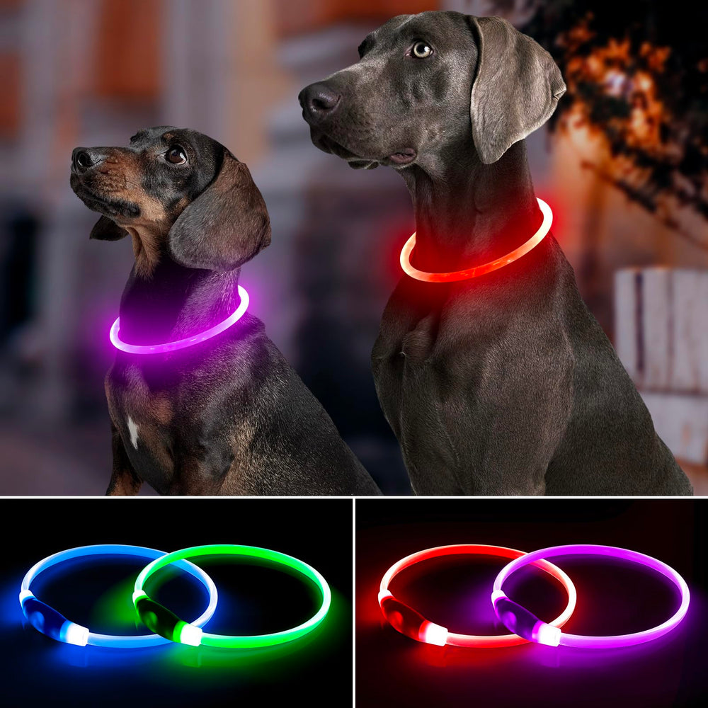 Bpawser collier en usage lors d'une promenade nocturne pour mieux voir