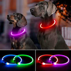 Bpawser collier en usage lors d'une promenade nocturne pour mieux voir