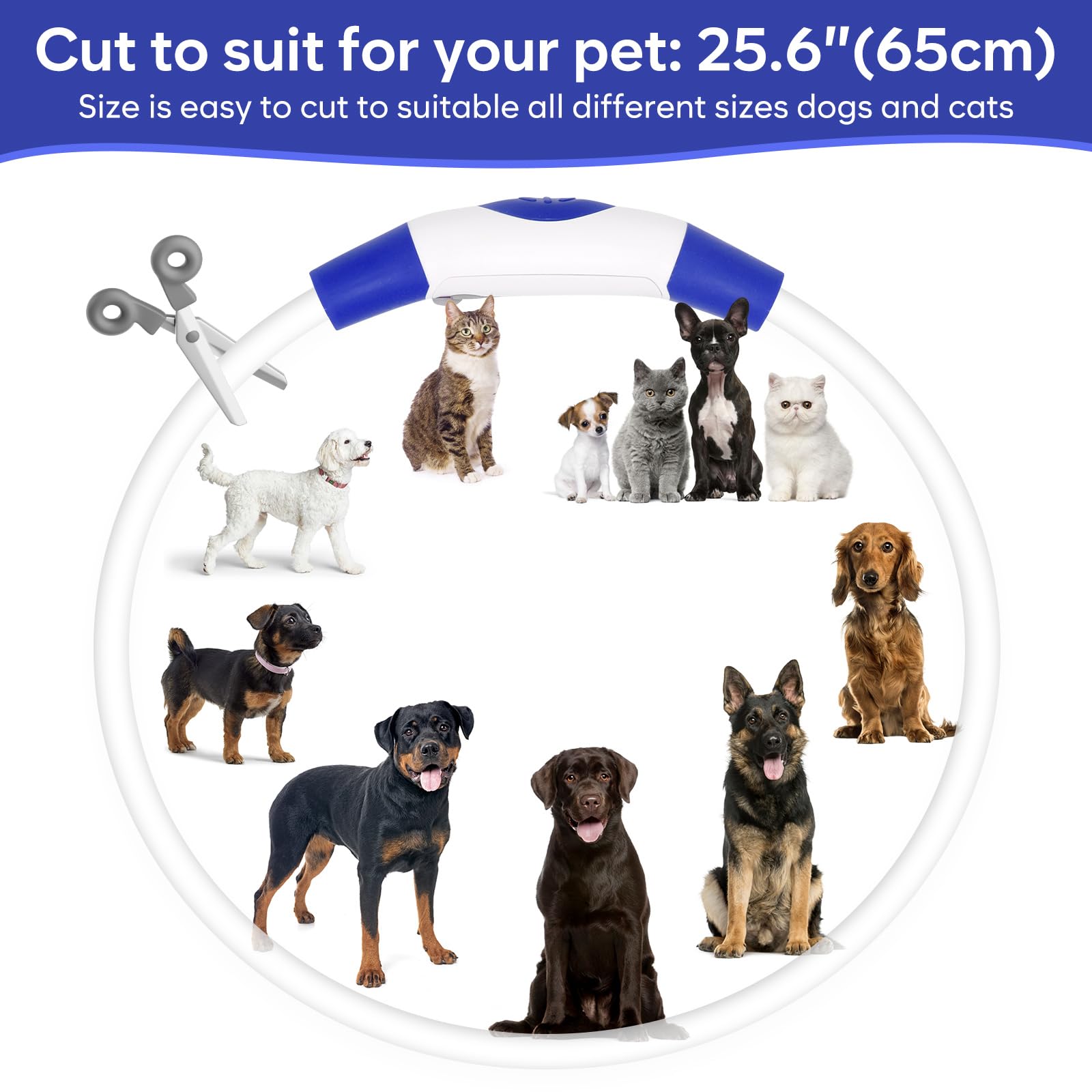 Bpawser collier connecté en USB lors de la recharge pour une remise en service rapide