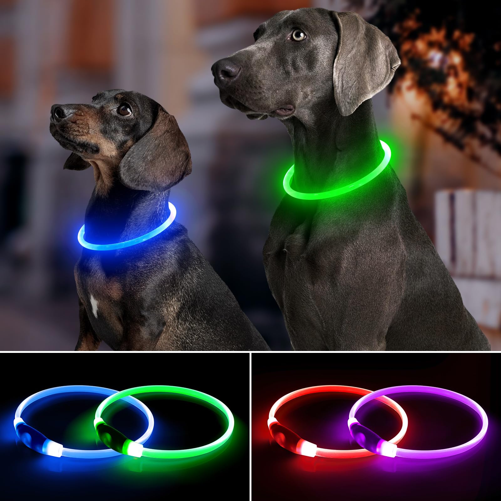 Bpawser collier en usage lors d'une promenade nocturne montrant un meilleur repérage