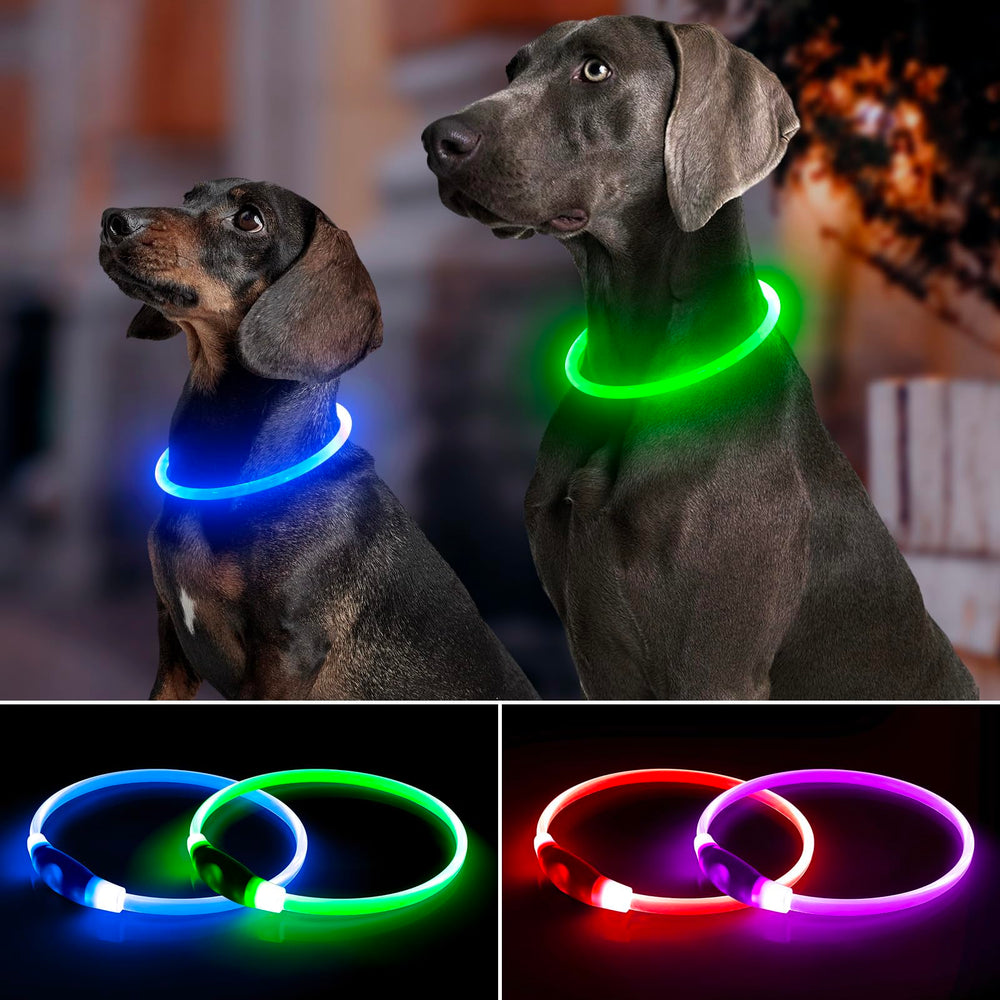 Bpawser collier en usage lors d'une promenade nocturne montrant un meilleur repérage