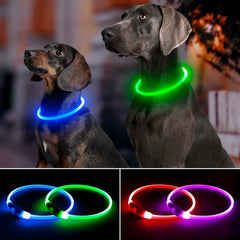 Bpawser collier en usage lors d'une promenade nocturne montrant un meilleur repérage
