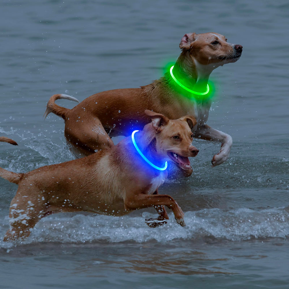 Bpawser collier porté en extérieur montrant résistance à la pluie et usage quotidien