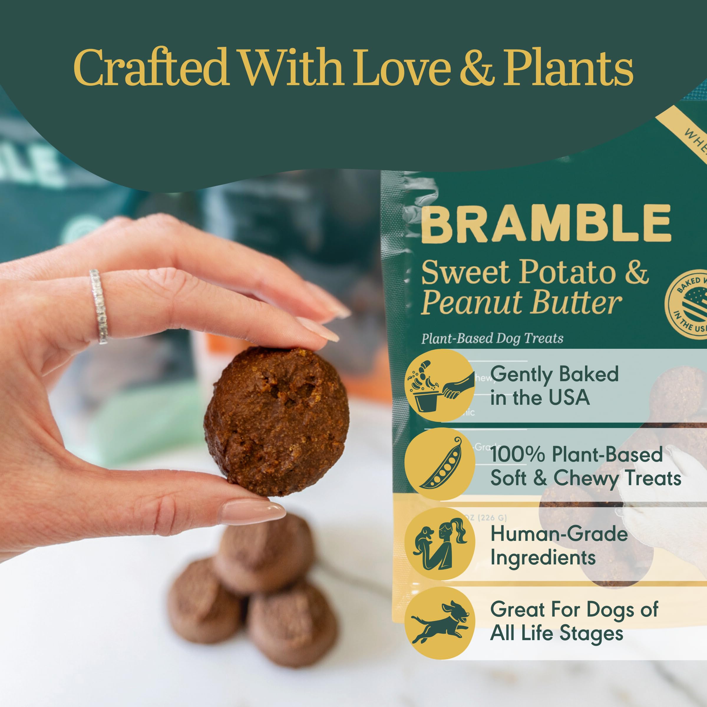 BRAMBLE biscuit portion montrant taille idéale pour récompense