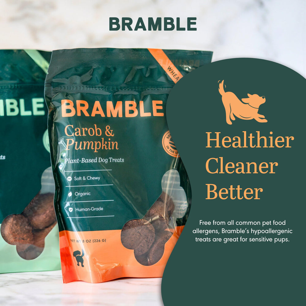 BRAMBLE comparaison taille biscuit à côté d’un jouet pour échelle