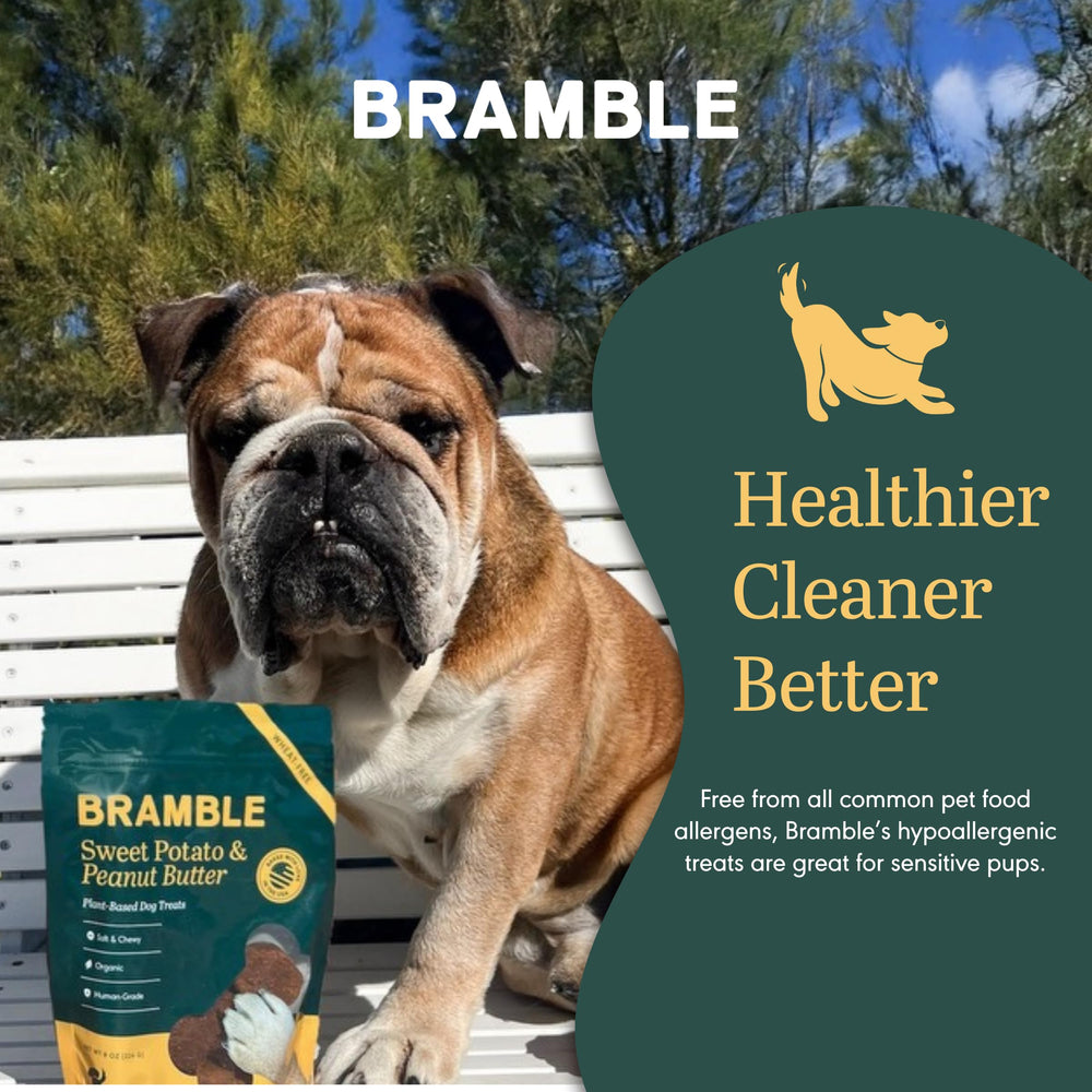 BRAMBLE friandise en main utilisée pour dressage et renforcement positif