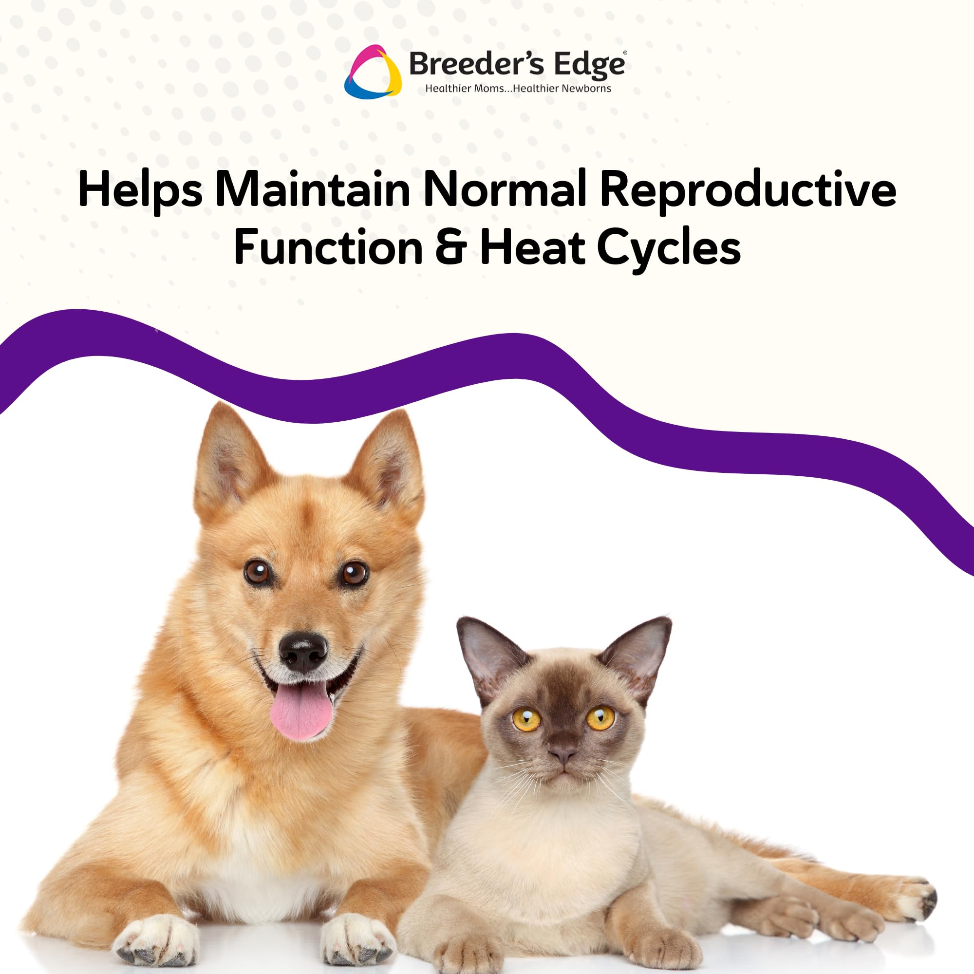 Revival Animal Health Breeder's Edge B Strong cuillère-doseuse montrant portion pour dosage précis
