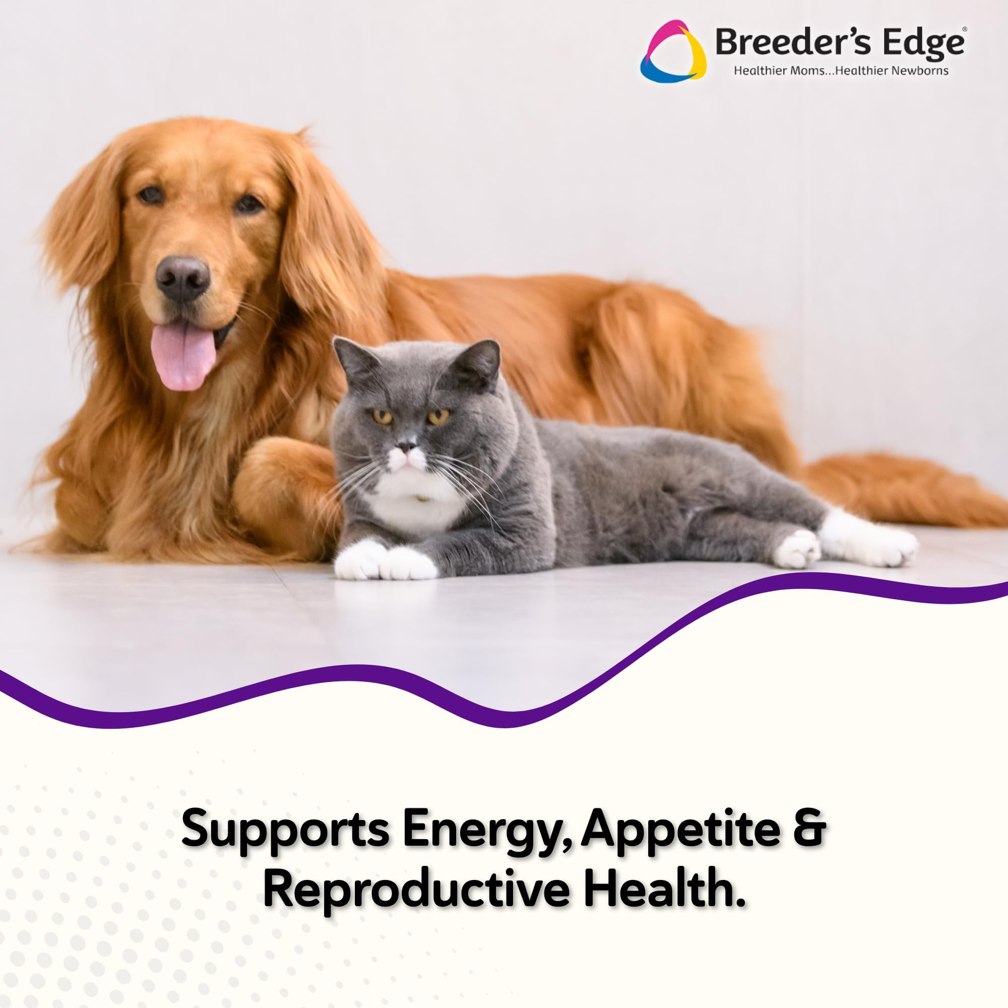 Revival Animal Health Breeder's Edge B Strong poudre gros plan texture fine facilitant le mélange