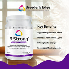 Revival Animal Health Breeder's Edge B Strong détail d'étiquette listant vitamines B et minéraux utiles