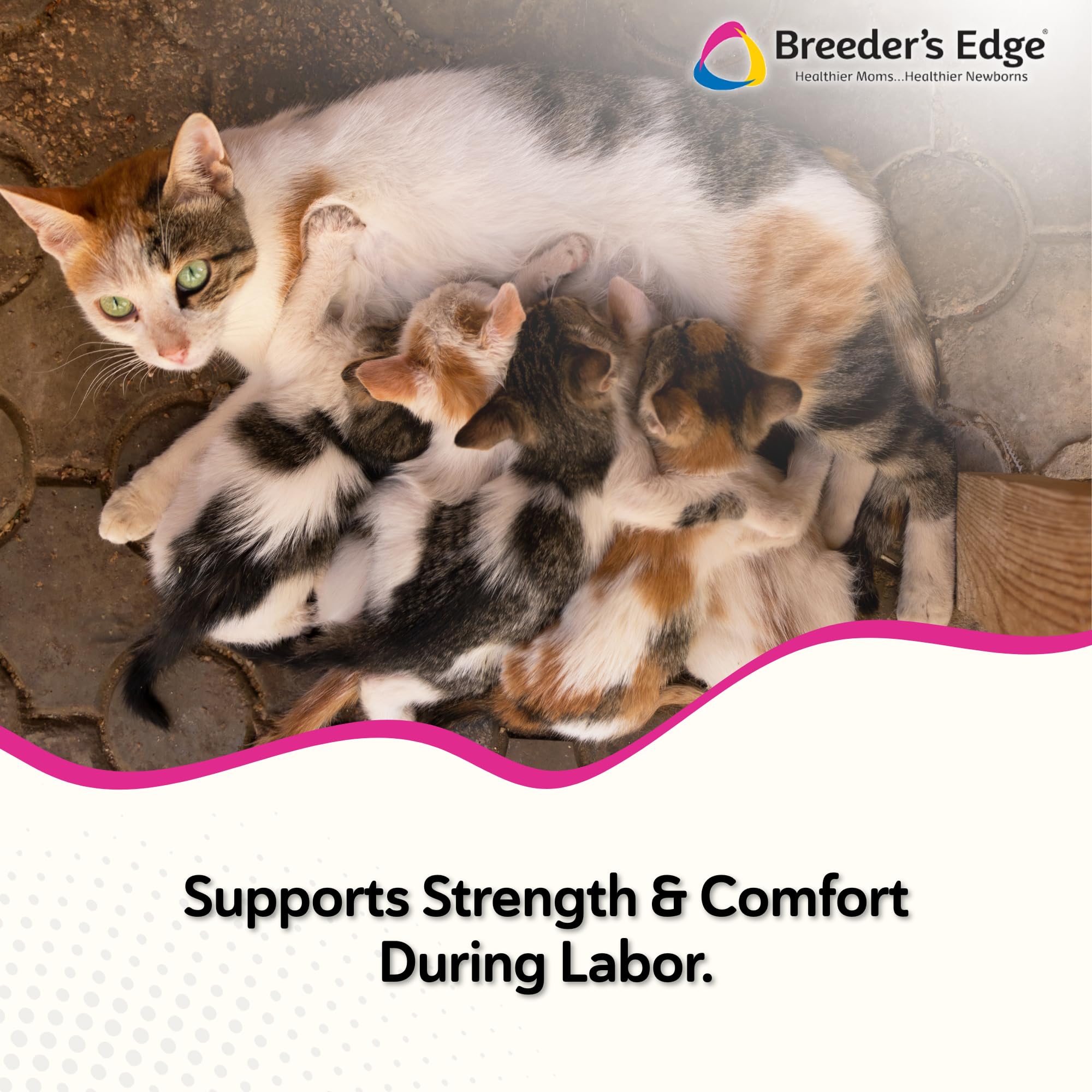 Revival Animal Health tube ouvert de Breeder's Edge gel montrant l'embout pratique pour l'administration