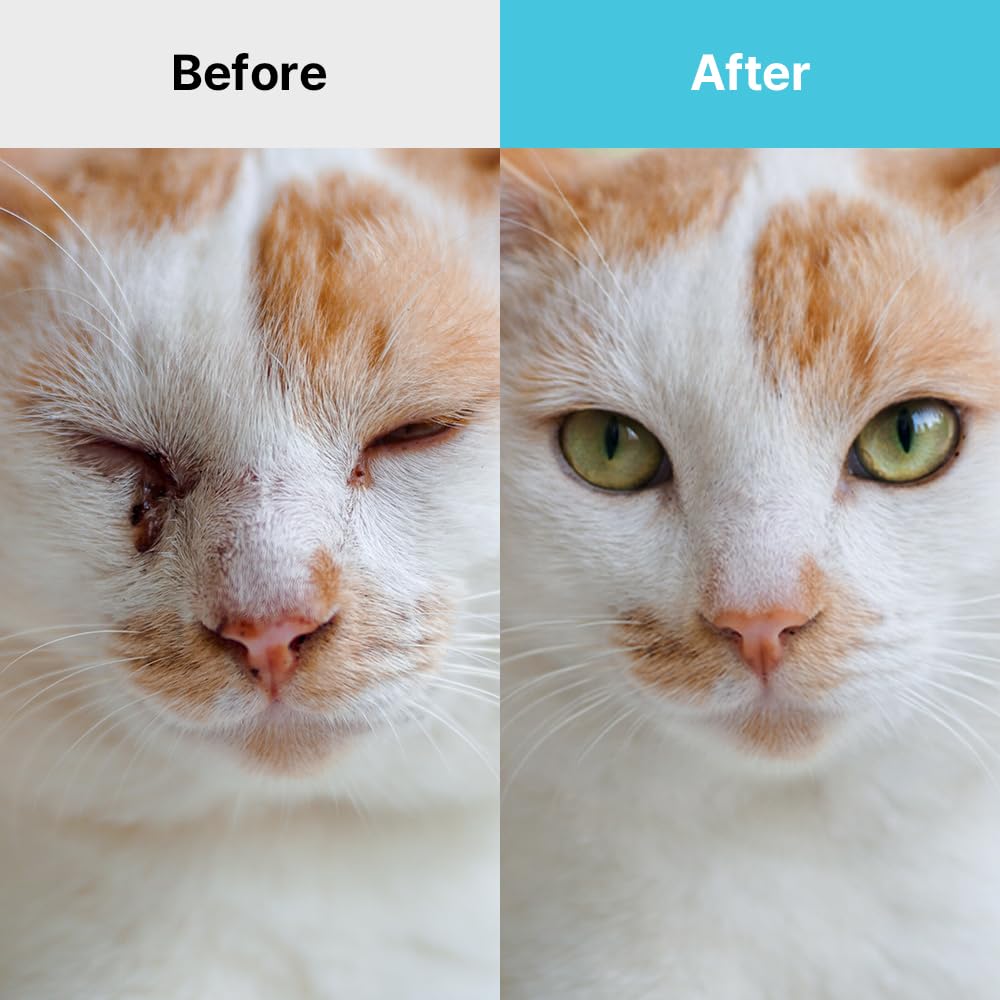 Breezytail application chez chien, nettoyage doux et réduction des irritants