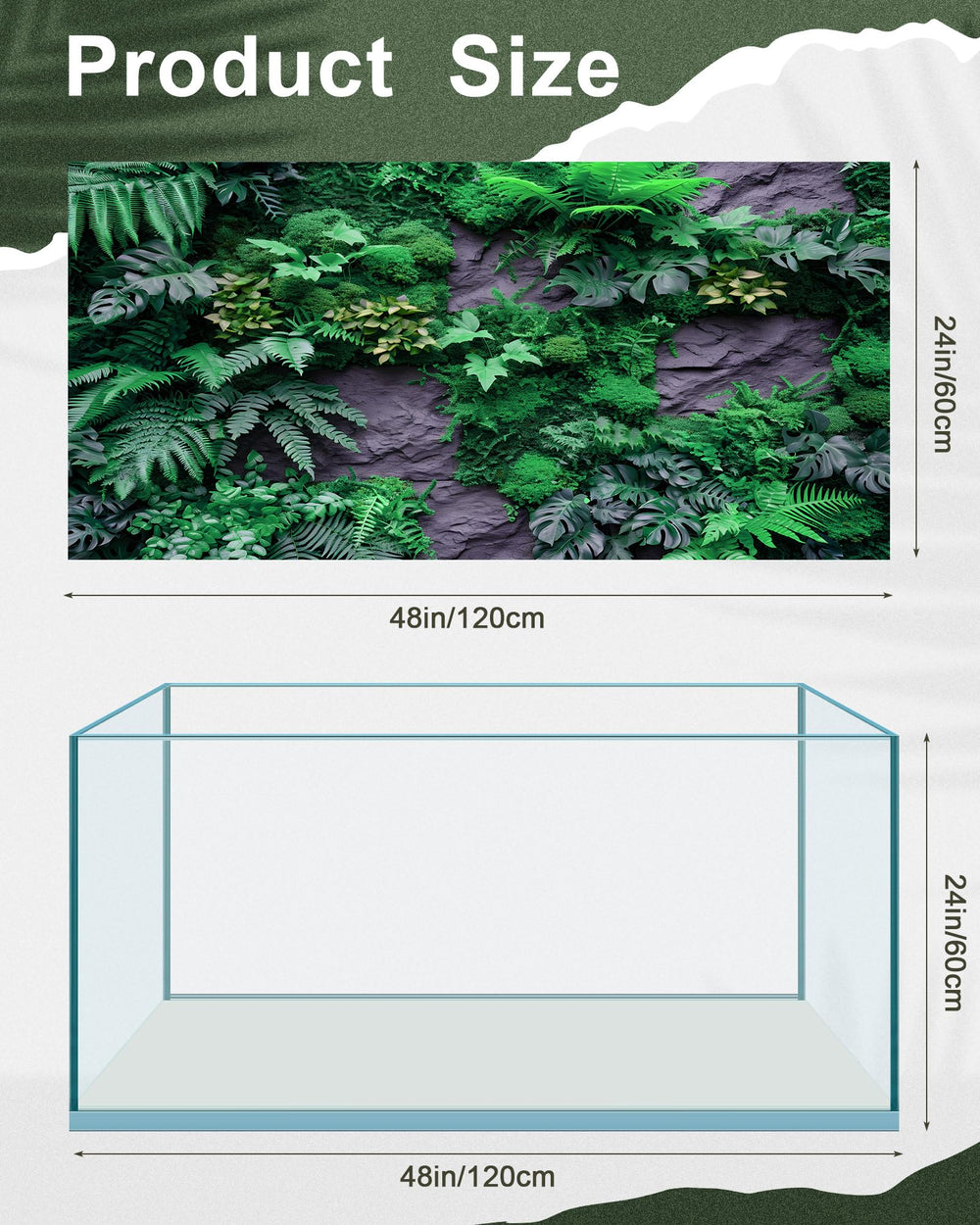 Breling fond posé dans terrarium améliorant profondeur visuelle et esthétique