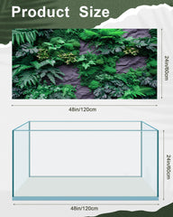 Breling fond posé dans terrarium améliorant profondeur visuelle et esthétique