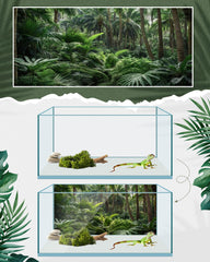 Breling fond forêt tropicale gros plan, couleurs vives pour réalisme accru
