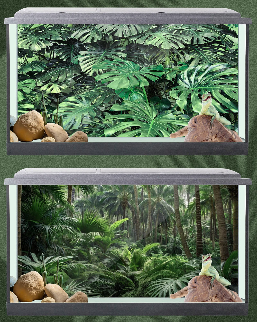 Breling fond posé dans terrarium en usage, changement d’ambiance rapide