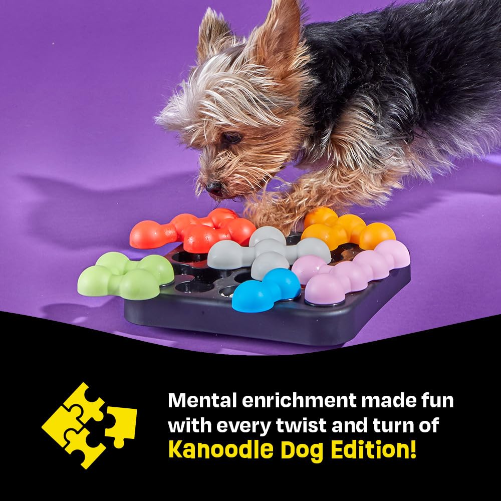 Brightkins Kanoodle chien en interaction montrant stimulation mentale et récompense