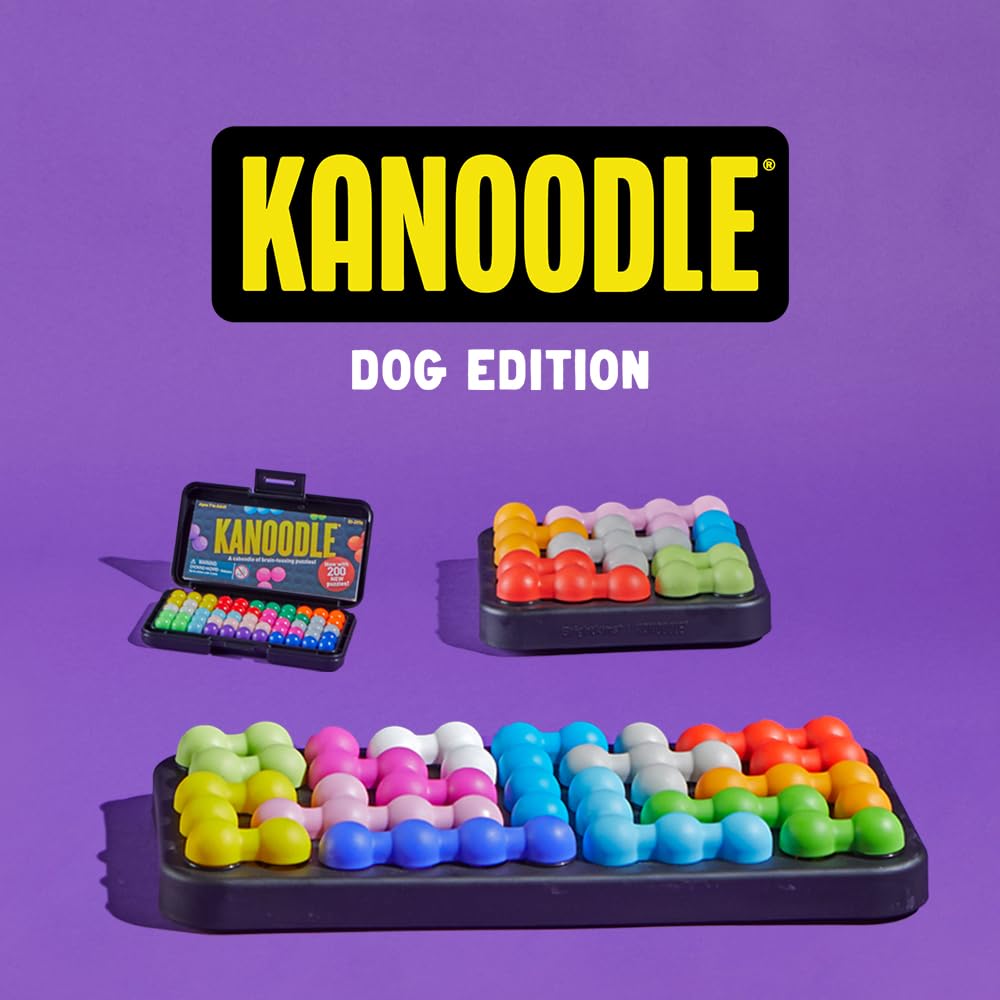 Brightkins Kanoodle en situation domestique montrant jeu calme et enrichissement