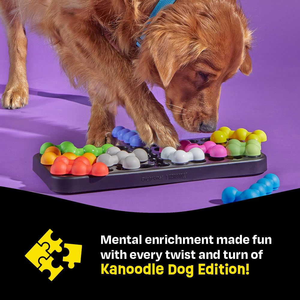 Brightkins Kanoodle chien utilisant le jouet, favorise activité et curiosité