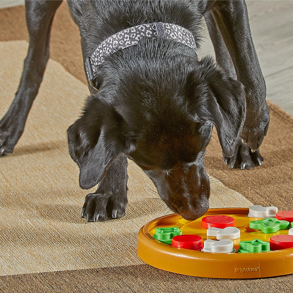 Brightkins chien utilise le puzzle et ralentit sa prise alimentaire bénéfice