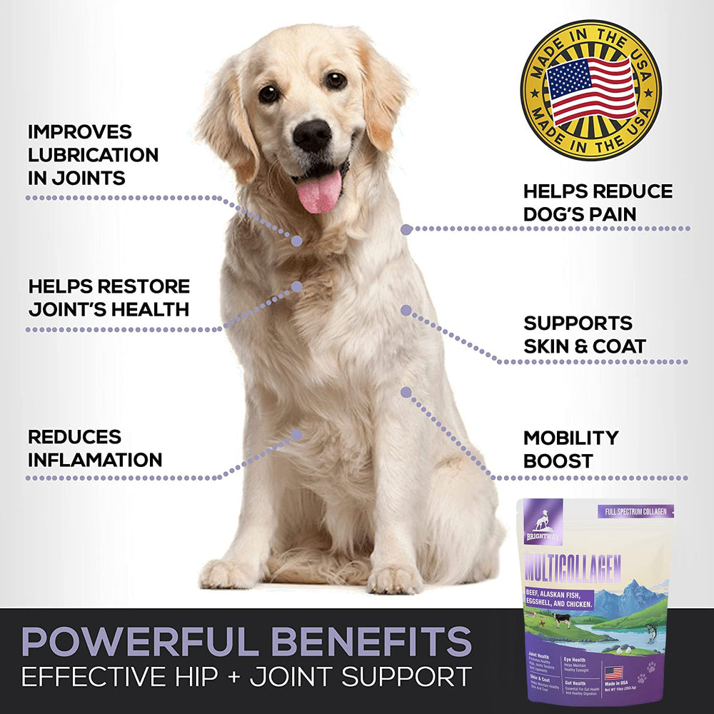 Brightway Pets comparaison taille bouteille à côté d'une laisse, bénéfice portabilité