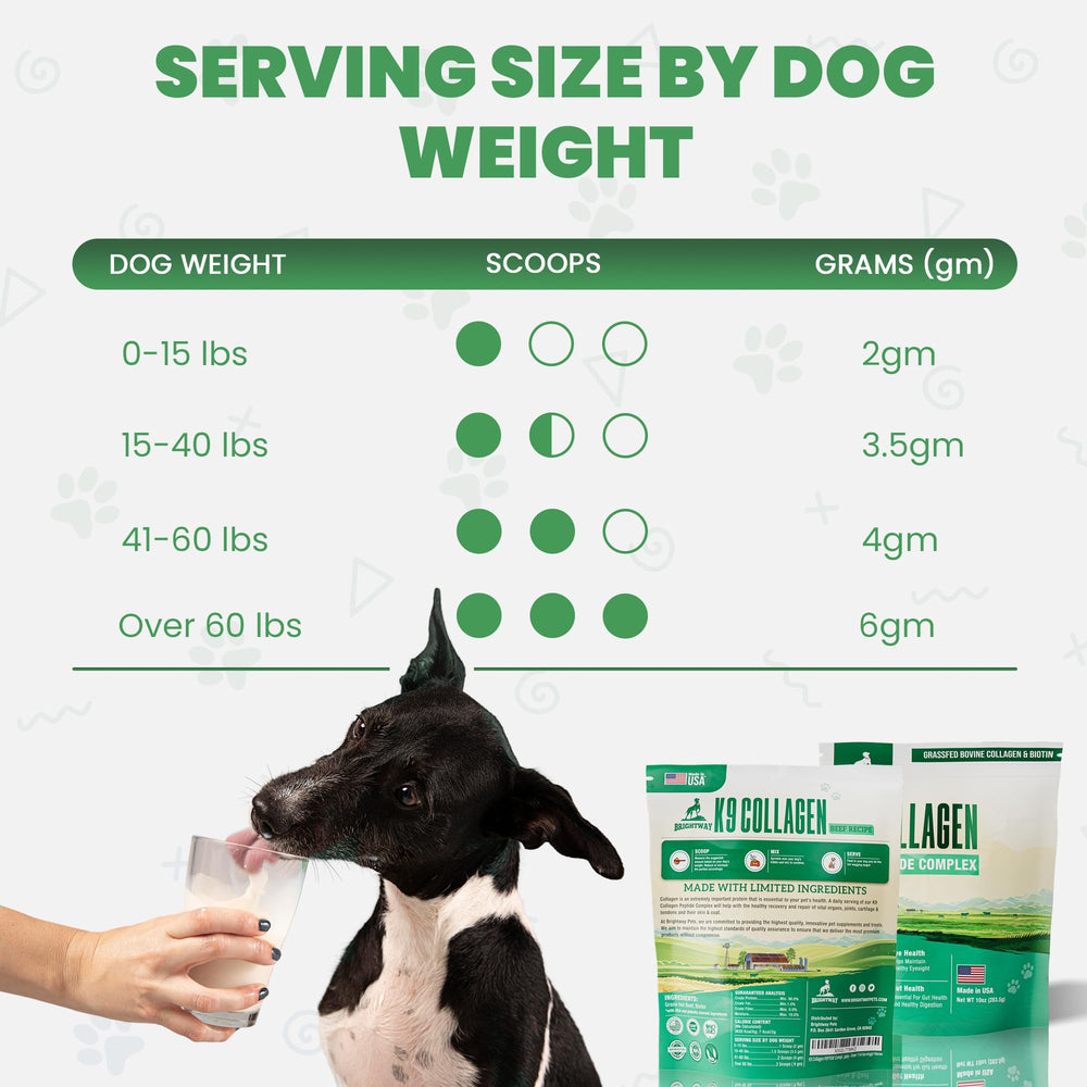 Brightway Pets pot à côté d'un objet pour comparer l'échelle et le contenu