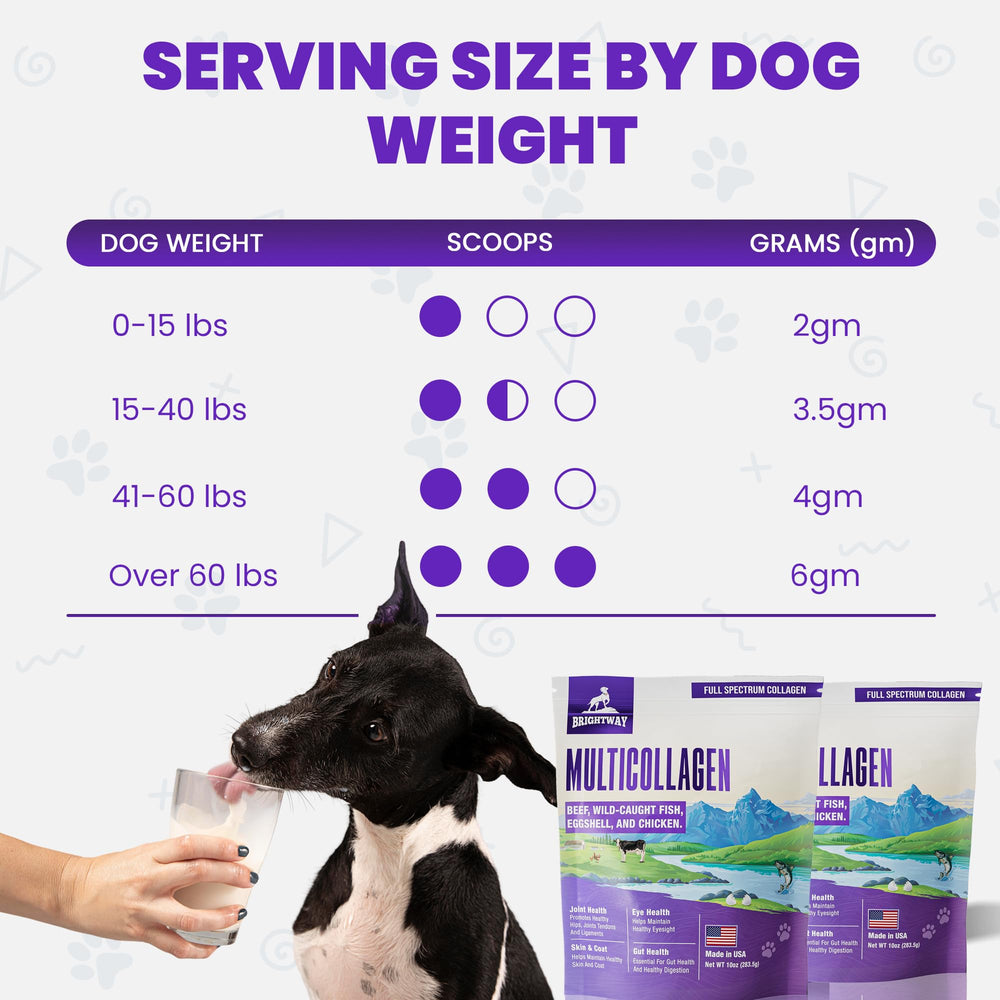 Brightway Pets emballage avec certificats, bénéfice fabrication testée
